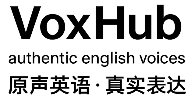 VOXHUB logo